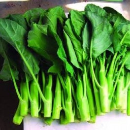 Broccoli - Chinese Kale - Kailaan, Cai Lam