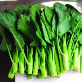 S057X01. Chinese Kale - Kailaan, Cai Lam