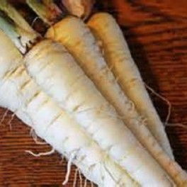 Parsnip, Harris Early Model