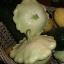 Squash - White Bush Scallop