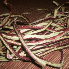 Bean - Purple Yard Long Bean