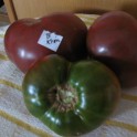 Black Krim Tomato