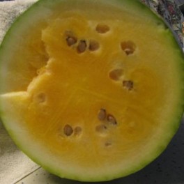 Orangeglo Watermelon