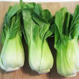 S082X01. Bok Choy, Shanghai Green F1 x 1