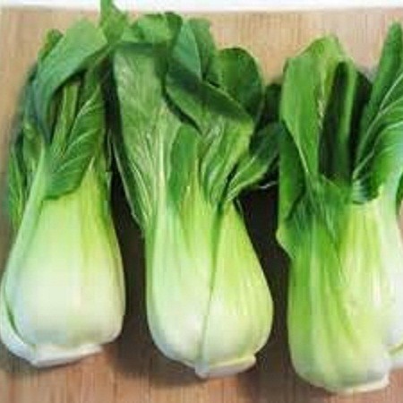 S082X01. Bok Choy, Shanghai Green F1 x 1