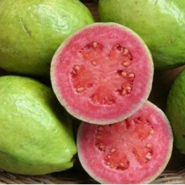 Pink Flesh Guava Seeds