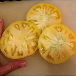 Great White heirloom tomato