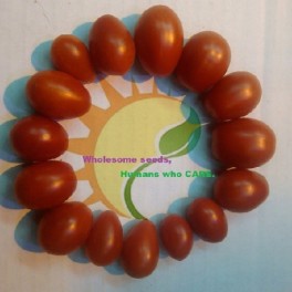San Marzano Tomato