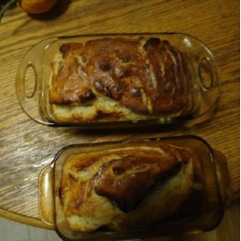 Dried Sourdough starter