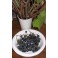 Wild California Grape Seeds - Vitis Californica