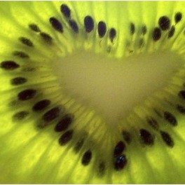 Fuzzy Kiwi Seeds - Actinidia Chinensis Deliciosa