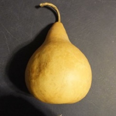 PEAR GOURDS 