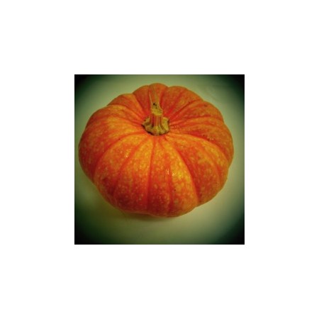 SPARKLE PUMPKIN