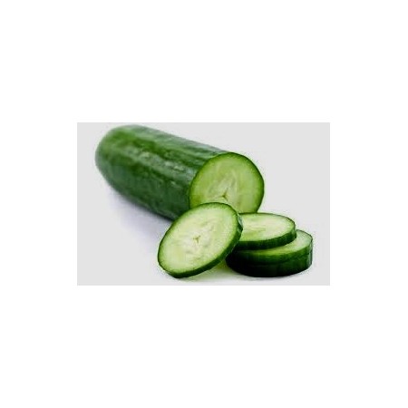 POINSETT CUCUMBER