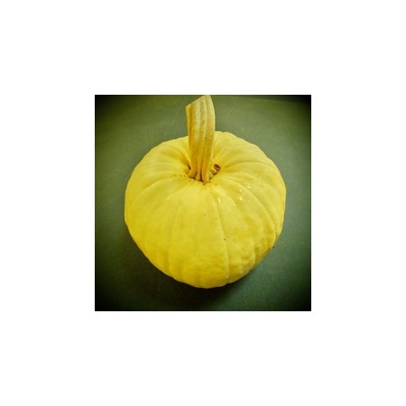 MINIATURE LIGHT YELLOW PUMPKIN