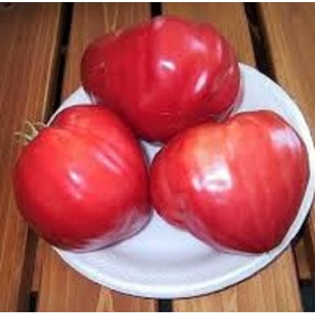 Bull's Heart Tomato Seeds