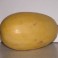 Spaghetti Squash