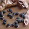 Hyacinth Bean