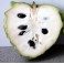 S035X01. Cherimoya 